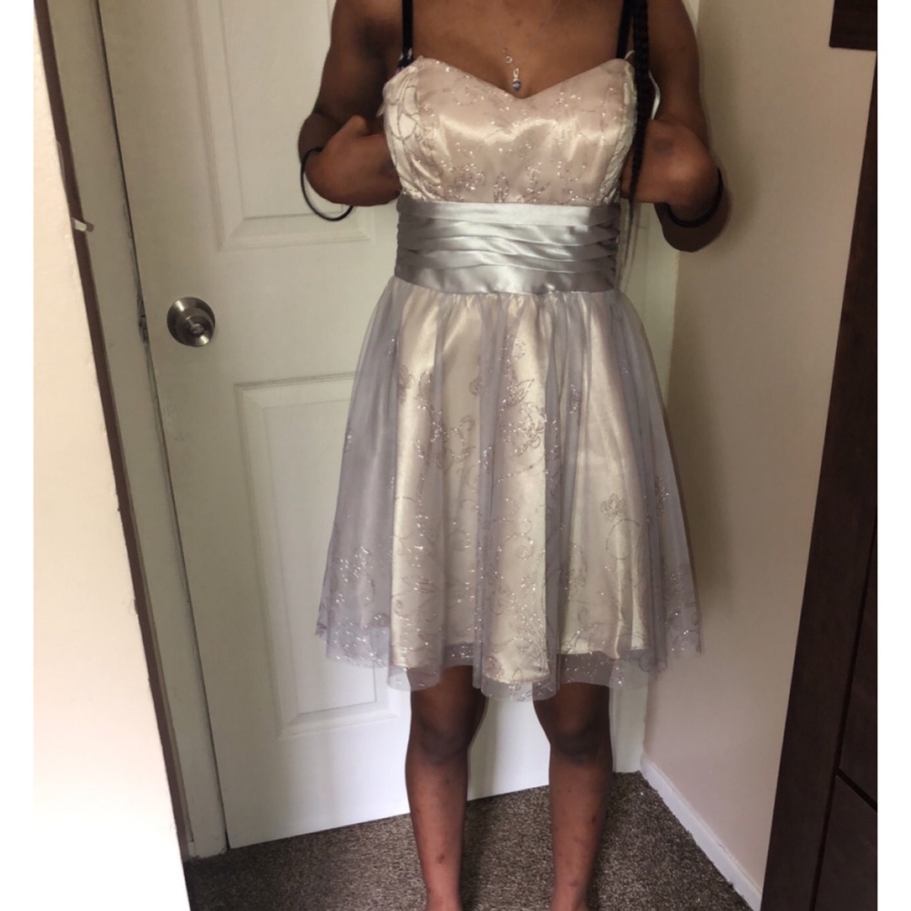 Strapless Silver Glitter Dress